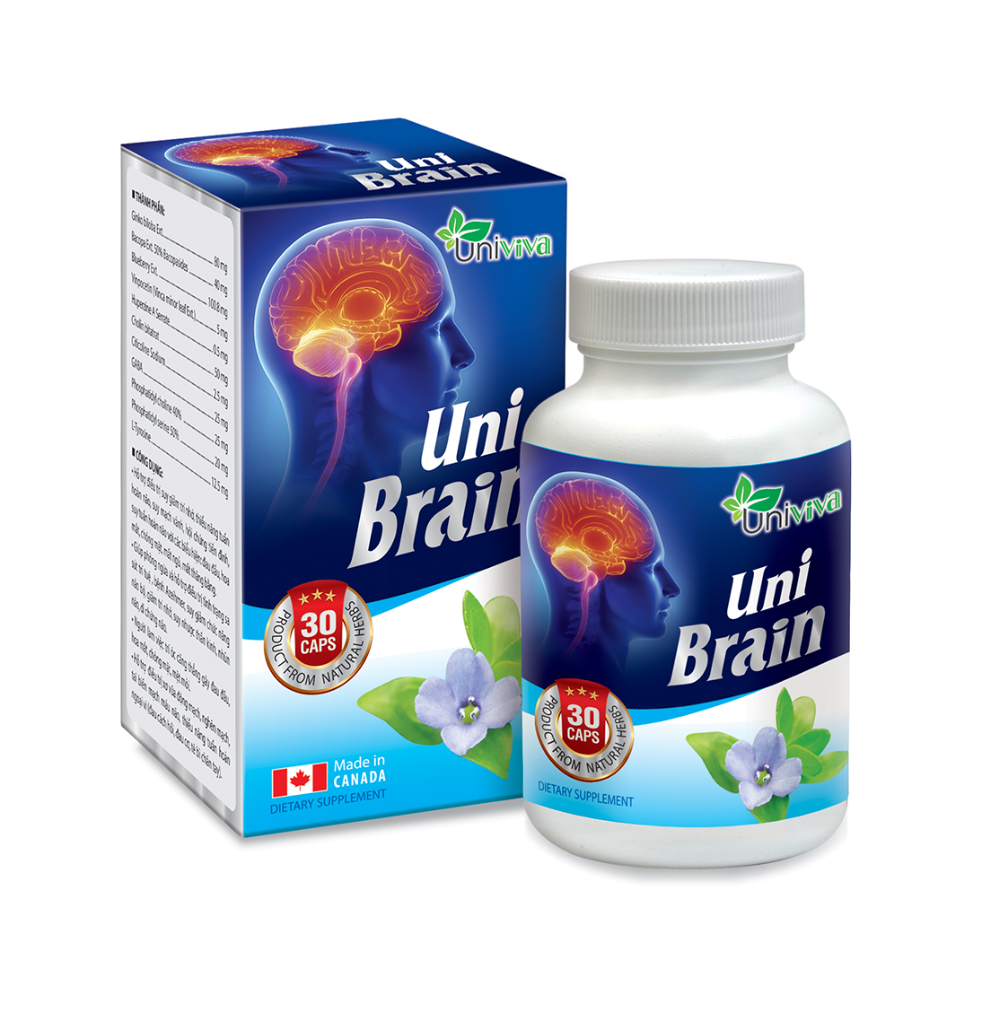 UniBrain giúp tăng tuần hoàn não hỗ trợ suy giảm trí nhớ hiệu quả