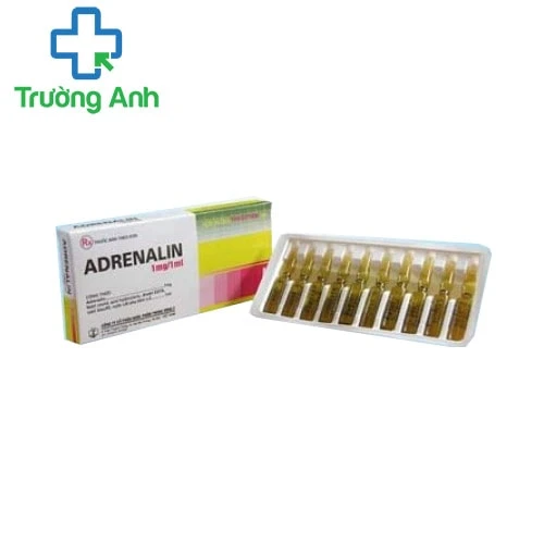 Adrenalin DOPHARMA - Thuốc điều trị sốc, tai biến hiệu quả