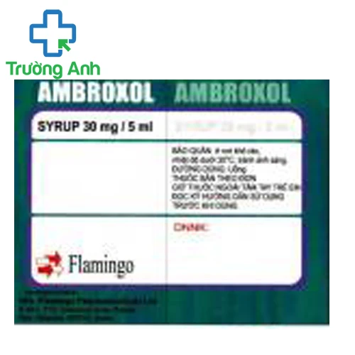 Ambroxol syrup 30mg/5ml Flamingo - Thuốc tiêu chất nhầy đường hô hấp
