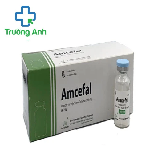 Amcefal 1g - Thuốc điều trị nhiễm khuẩn hiệu quả của Amvipharm
