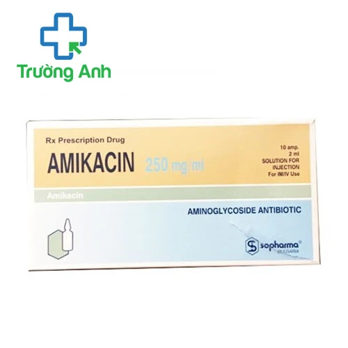 Amikacin 250mg/ml Sopharma - Thuốc điều trị nhiễm khuẩn nặng hiệu quả