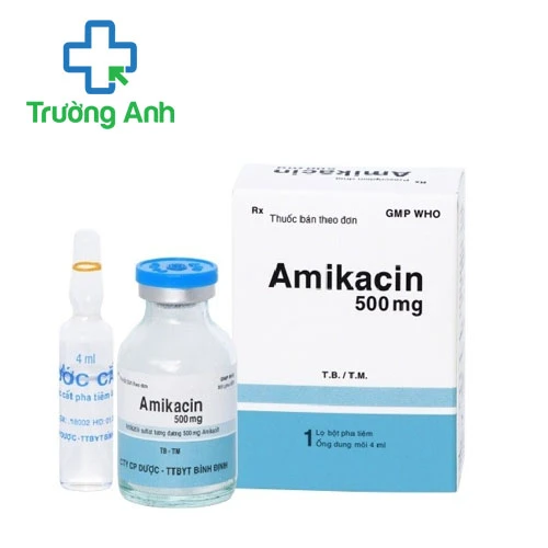 Amikacin 500 Bidiphar - Thuốc điều trị nhiễm khuẩn nặng hiệu quả