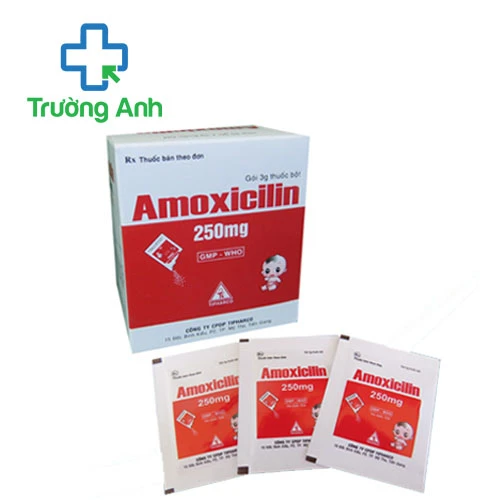 Amoxicilin 250mg Tipharco (bột) - Thuốc điều trị nhiễm khuẩn hiệu quả 