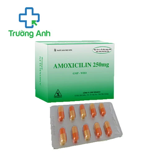 Amoxicilin 250mg Tipharco (viên) - Thuốc điều trị nhiễm khuẩn hiệu quả