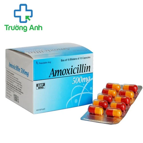Amoxicillin 500mg Hataphar - Thuốc điều trị các nhiễm khuẩn hiệu quả