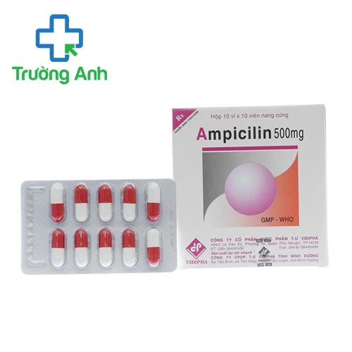 Ampicilin 500mg Vidipha - Thuốc điều trị nhiễm khuẩn hiệu quả