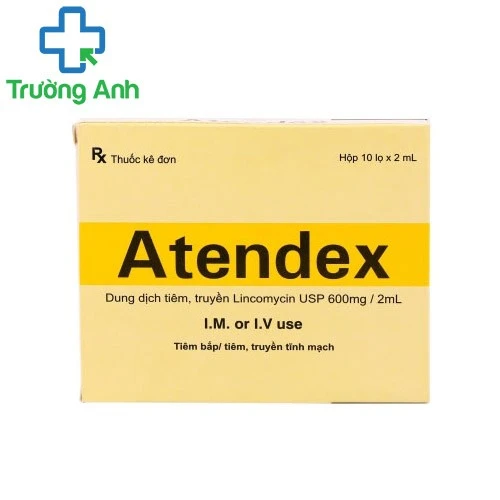 Atendex 600mg/2ml - Thuốc điều trị nhiễm khuẩn hiệu quả của India