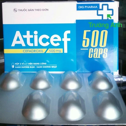 ATICEF 500 CAPS - Kháng sinh điều trị nhiễm khuẩn của DHG PHARMA