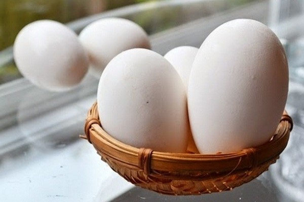 Bà bầu ăn trứng ngỗng có tác dụng gì, có nên ăn trong 3 tháng đầu?