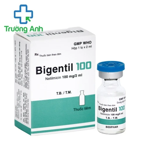 Bigentil 100 - Thuốc điều trị nhiễm khuẩn hiệu quả của Bidiphar