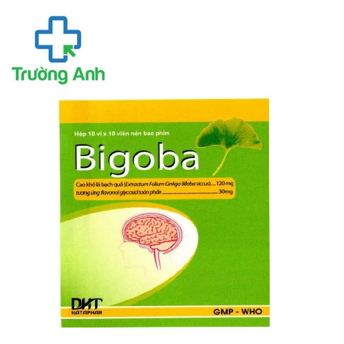 Bigoba DHT - Thuốc điều trị rối loạn tuần hoàn não hiệu quả