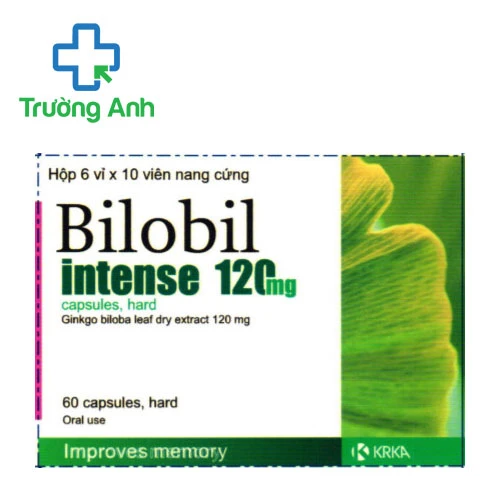 Bilobil Intenes 120 capsules, hard - Tăng cường tuần hoàn máu não hiệu quả
