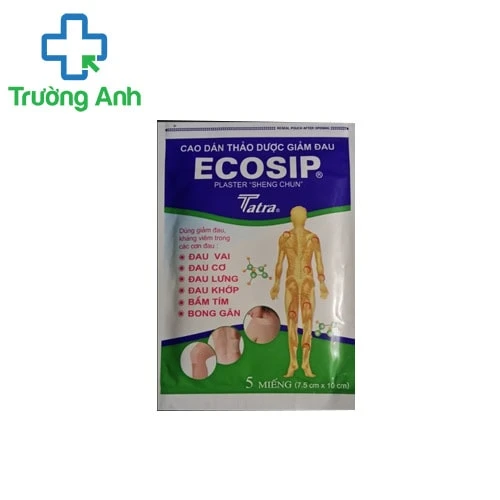 Cao dán Ecosip thảo dược - Điều trị mỏi cơ, đau nhức hiệu quả