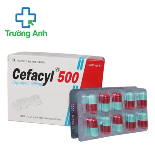 Cefacyl 500 (100 viên) - Thuốc điều trị nhiễm khuẩn hiệu quả