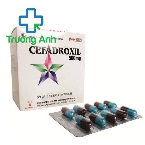 Cefadroxil 500mg Armephaco - Thuốc điều trị nhiễm khuẩn hiệu quả