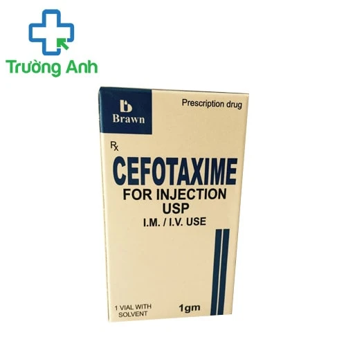 Cefotaxime 1g - Thuốc điều trị nhiễm khuẩn nặng của Ấn Độ hiệu quả