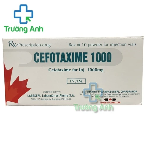 Tenamyd-Cefotaxime 1000 - Thuốc điều trị nhiễm khuẩn hiệu quả