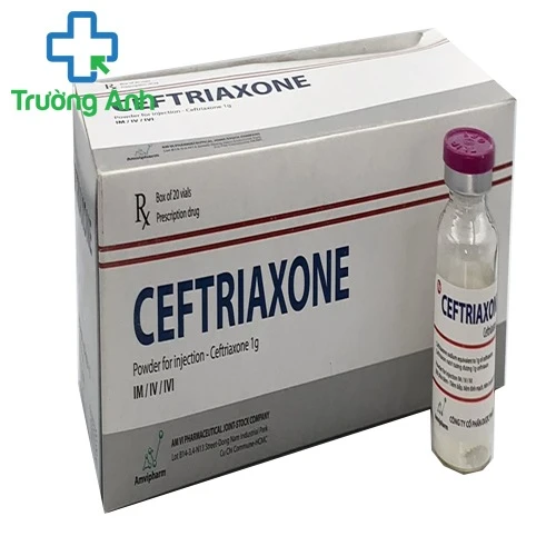 Ceftriaxone 1g Amvipharm - Thuốc điều trị nhiễm khuẩn hiệu quả