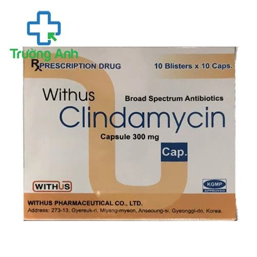 Withus Clindamycin Capsule 300mg - Thuốc điều trị nhiễm khuẩn hiệu quả
