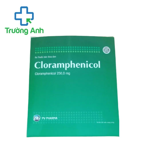 Cloramphenicol 250mg PV Pharma - Thuốc điều trị nhiễm khuẩn hiệu quả
