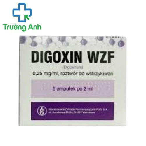 Digoxin WZF 25mg - Thuốc điều trị rối loạn nhịp tim hiệu quả