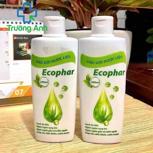 Dầu gội dược liệu Ecophar - Giúp làm sạch da đầu, ngăn ngừa rụng tóc