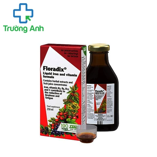 Floradix Liquid iron and vitamin formula - Thuốc bổ sung vitamin và khoáng chất