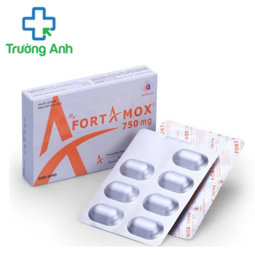 FORTAMOX 750mg - Thuốc điều trị nhiễm khuẩn của Domesco