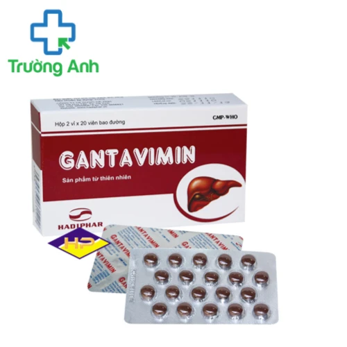 Gantavimin - Thuốc điều trị các bệnh về gan hiệu quả của Hadiphar