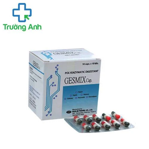 GESMIX Cap - Thuốc hỗ trợ điều trị rối loạn tiêu hóa hiệu quả