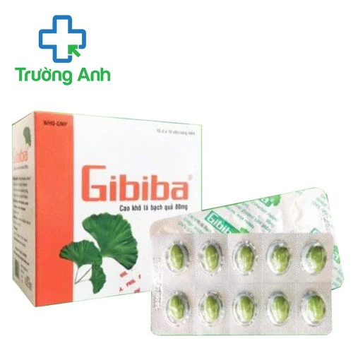 Gibiba - Hỗ trợ tăng cường tuần hoàn máu não