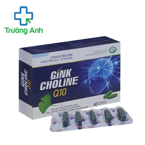 Gink Choline Q10 FOXS USA - Hỗ trợ tăng cường tuần hoàn máu não
