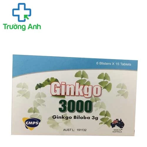 Ginkgo 3000 - Giúp điều trị đau đầu, chóng mặt hiệu quả