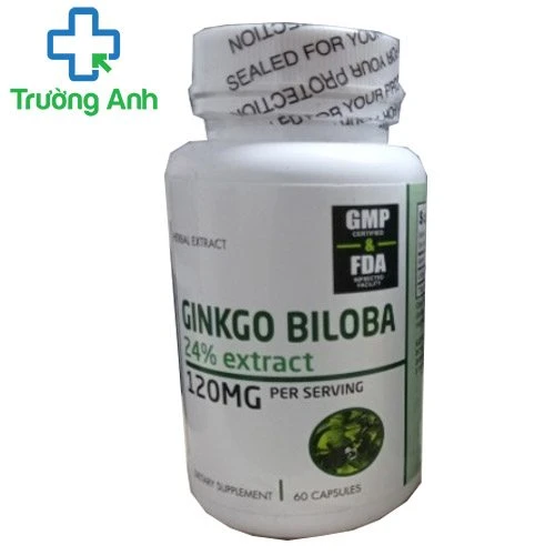 Ginkgo biloba 24% extract - Hỗ trợ tăng cường tuần hoàn não của Vitalabs