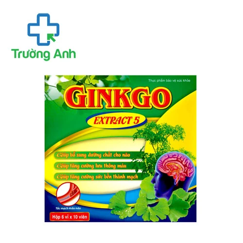 Ginkgo Extract 5 - Hỗ trợ tăng cường tuần hoàn máu não