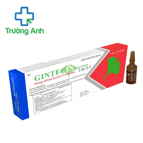 Gintecin Injection 17,5mg/5ml - Thuốc điều trị rối loạn tuần hoàn máu não
