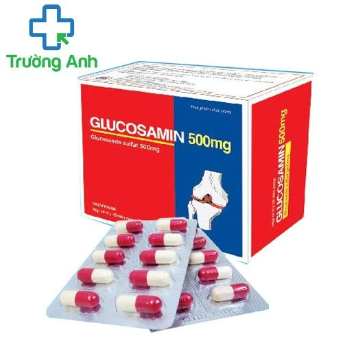 Glucosamin 500mg Hà Tây - Hỗ trợ điều trị các bệnh xương khớp hiệu quả