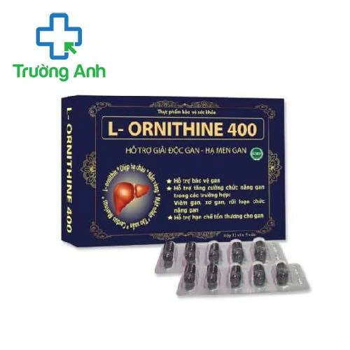 L-ORNITHINE 400 (mẫu xanh) - Hỗ trợ tăng cường chức năng gan hiệu quả