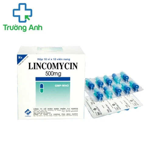 Lincomycin 500mg Vidipha - Thuốc điều trị nhiễm trùng đường hô hấp hiệu quả