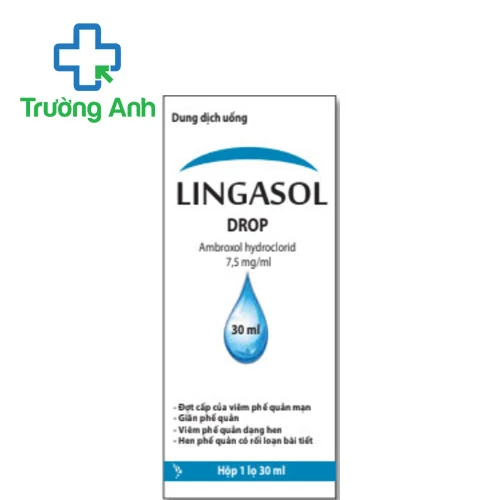 Lingasol Drop 30ml Hà Nam - Thuốc điều trị làm tiêu chất nhầy hô hấp hiệu quả