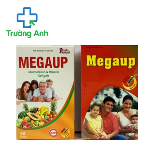 Megaup Hatapharm - Hỗ trợ bổ sung vitamin và khoáng chất hiệu quả 