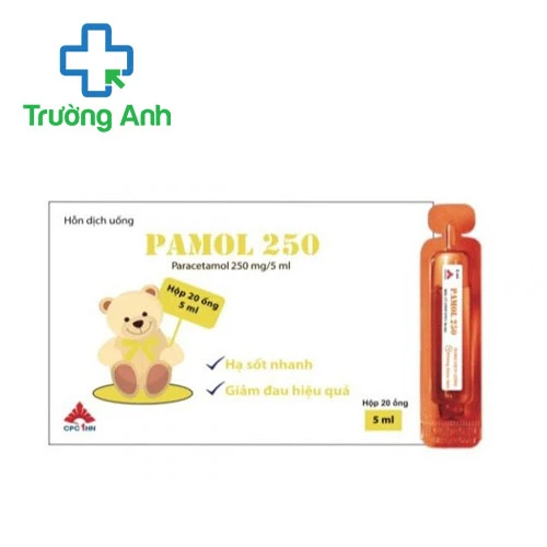 Pamol 250 (ống 5ml) CPC1HN - Thuốc giảm đau hạ sốt hiệu quả 