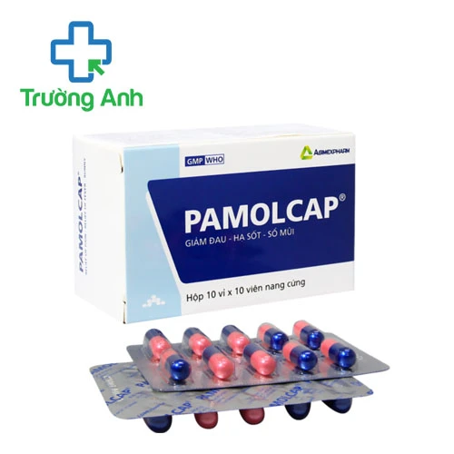 Pamolcap Agimexpharm (vỉ) - Thuốc điều trị hạ sốt giảm đau hiệu quả của Agimexpharm