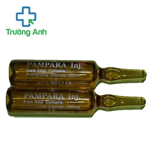 Pampara - Thuốc điều trị ngộ độc hiệu quả