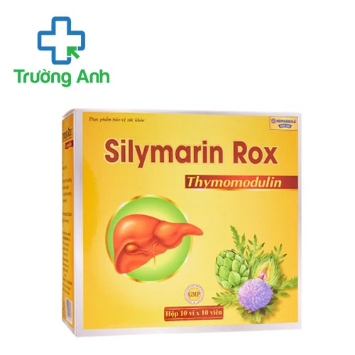 Silymarin Rox HD Pharma - Hỗ trợ tăng cường chức năng gan hiệu quả