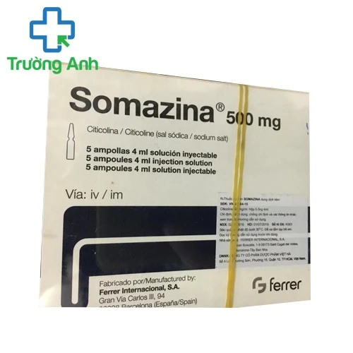 Somazina 500mg/4ml - Thuốc trị chấn thương sọ não