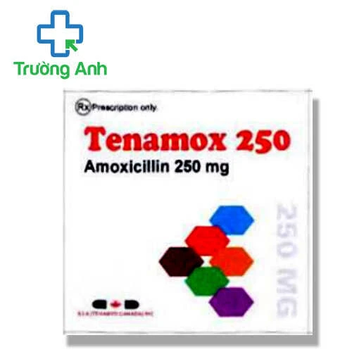 Tenamox 250 - Thuốc điều trị nhiễm khuẩn hiệu quả của Ấn Độ