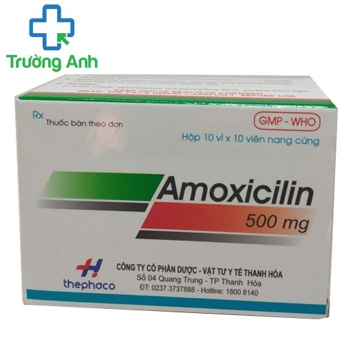 Amoxicilin 500mg Thephaco - Thuốc điều trị nhiễm khuẩn hiệu quả