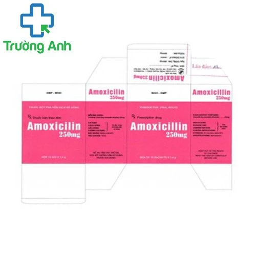 Amoxocilin 250mg - Thuốc điều trị nhiễm khuẩn hiệu quả của Pharbaco 