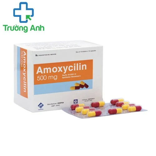 Amoxycilin 500mg Vidiphar - Thuốc điều trị nhiễm khuẩn hiệu quả